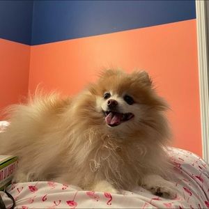 Meet your Posher, Jessica